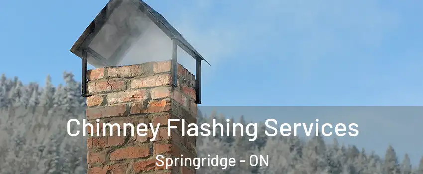  Chimney Flashing Services Springridge - ON