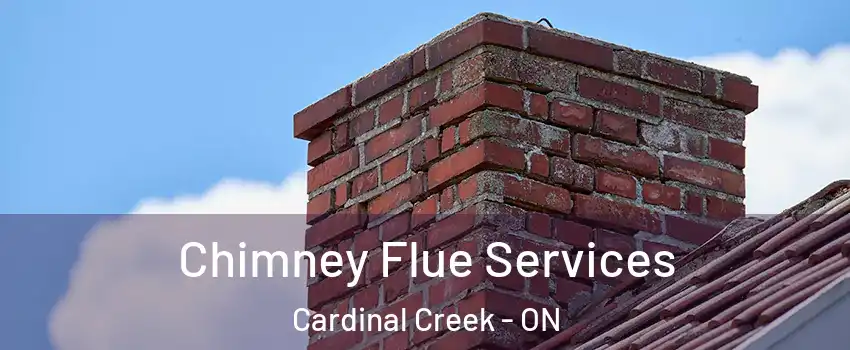  Chimney Flue Services Cardinal Creek - ON