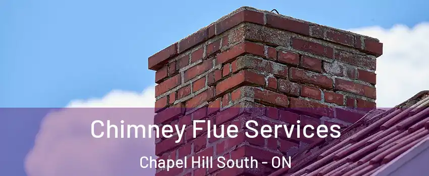  Chimney Flue Services Chapel Hill South - ON