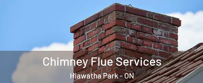  Chimney Flue Services Hiawatha Park - ON