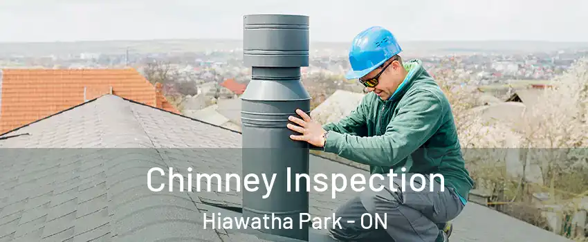  Chimney Inspection Hiawatha Park - ON
