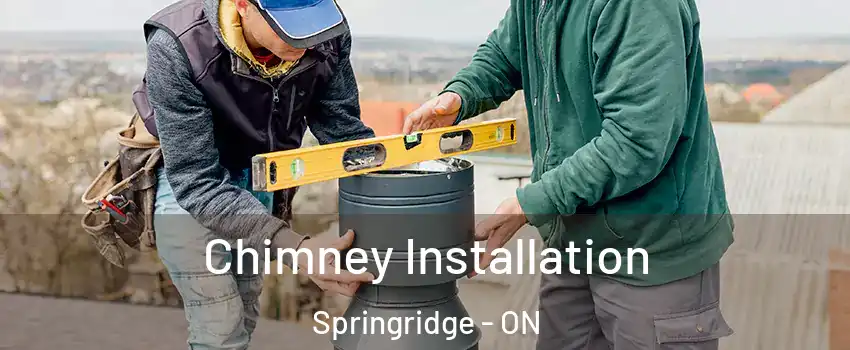 Chimney Installation Springridge - ON