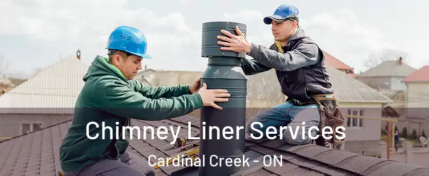  Chimney Liner Services Cardinal Creek - ON