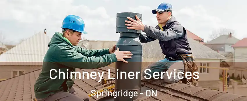 Chimney Liner Services Springridge - ON
