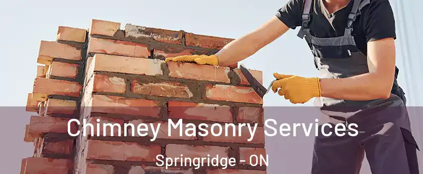 Chimney Masonry Services Springridge - ON