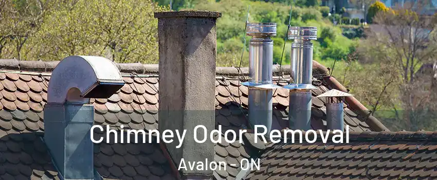  Chimney Odor Removal Avalon - ON