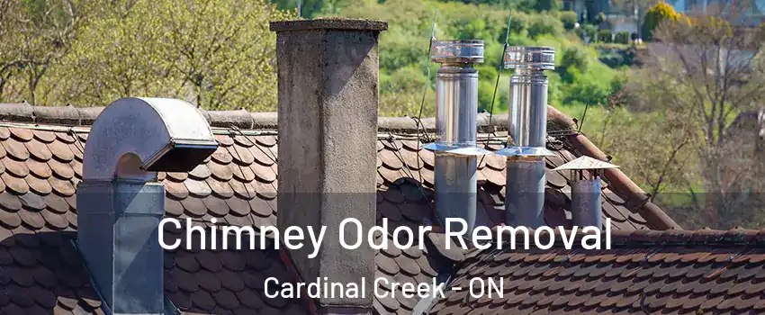  Chimney Odor Removal Cardinal Creek - ON