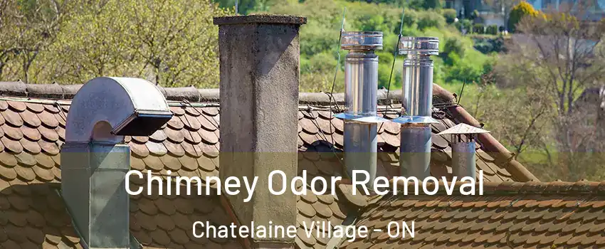  Chimney Odor Removal Chatelaine Village - ON