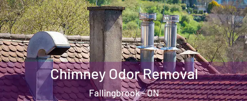  Chimney Odor Removal Fallingbrook - ON