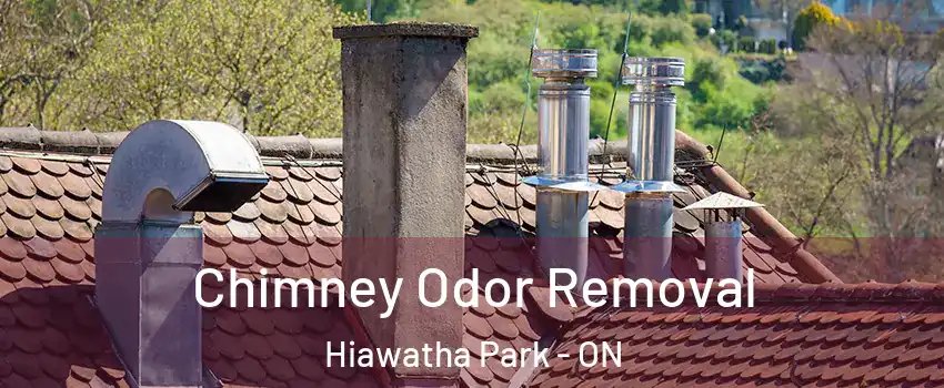  Chimney Odor Removal Hiawatha Park - ON