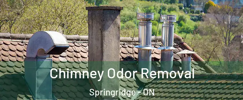  Chimney Odor Removal Springridge - ON