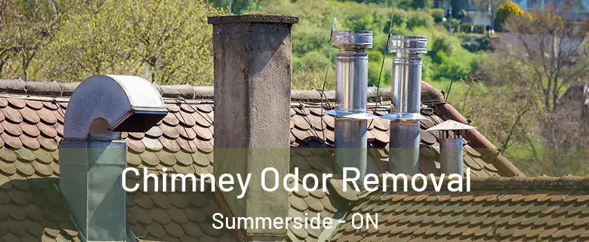 Chimney Odor Removal Summerside - ON