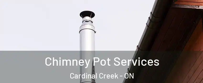  Chimney Pot Services Cardinal Creek - ON