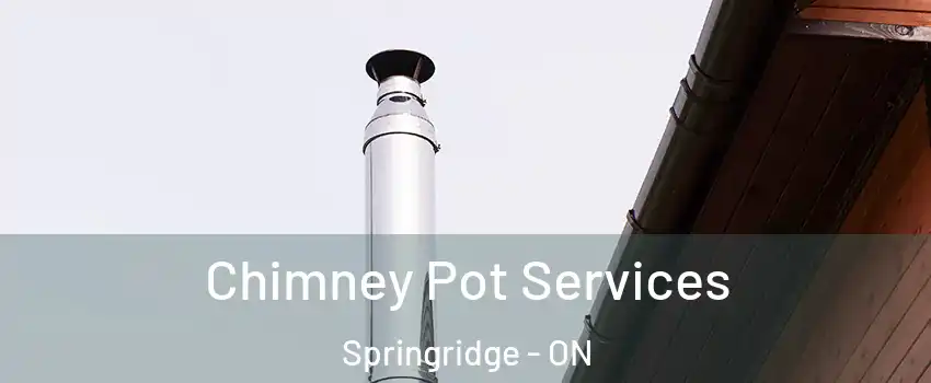 Chimney Pot Services Springridge - ON