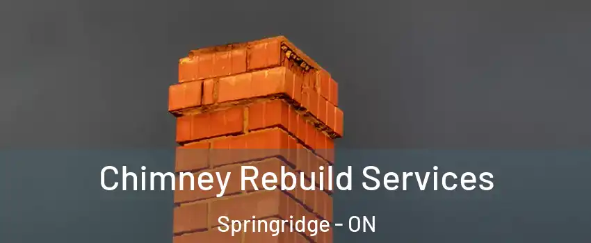  Chimney Rebuild Services Springridge - ON