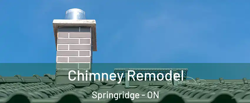 Chimney Remodel Springridge - ON