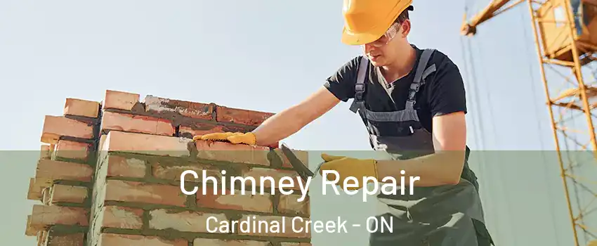  Chimney Repair Cardinal Creek - ON