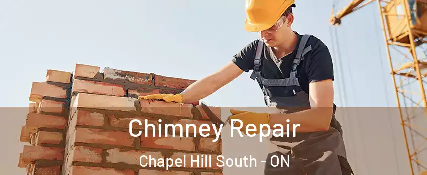  Chimney Repair Chapel Hill South - ON
