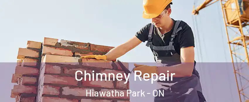 Chimney Repair Hiawatha Park - ON