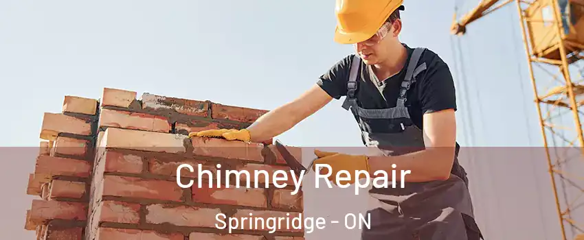  Chimney Repair Springridge - ON