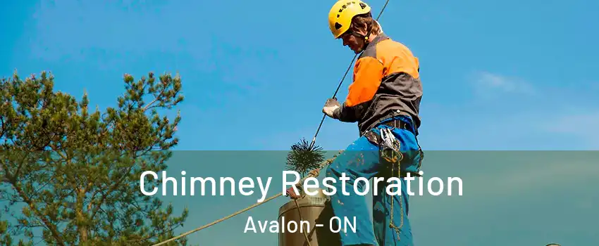  Chimney Restoration Avalon - ON