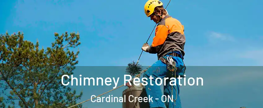  Chimney Restoration Cardinal Creek - ON