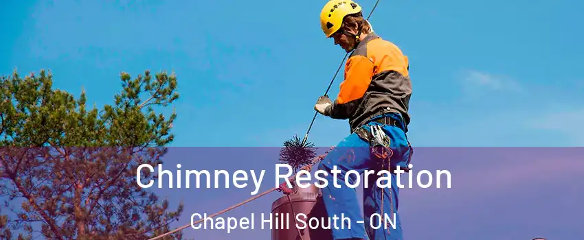  Chimney Restoration Chapel Hill South - ON