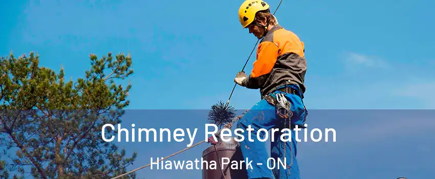 Chimney Restoration Hiawatha Park - ON