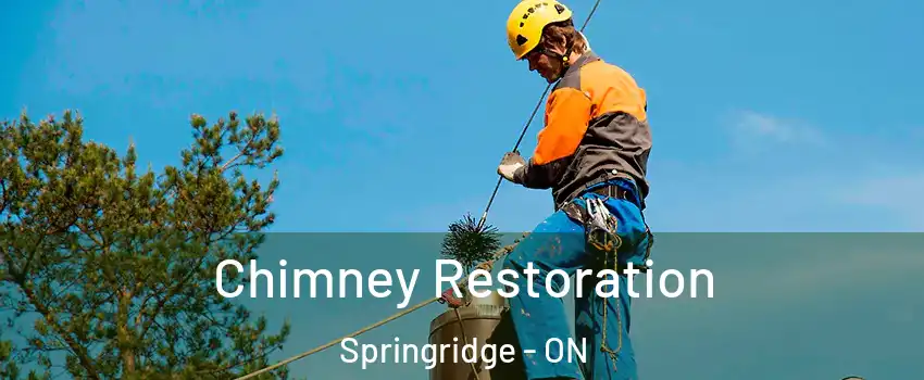  Chimney Restoration Springridge - ON