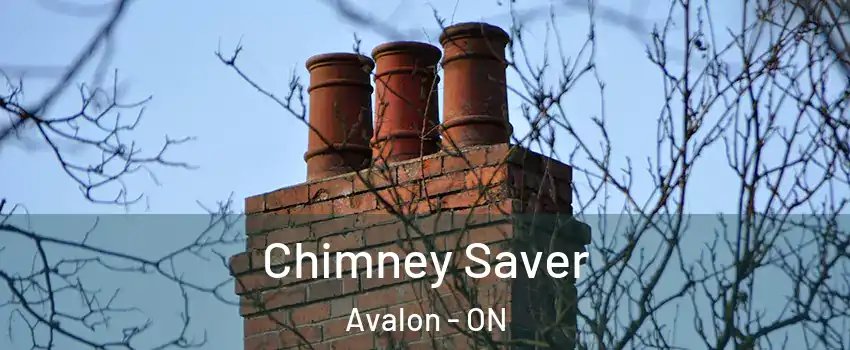 Chimney Saver Avalon - ON