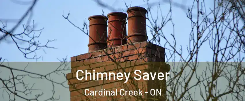  Chimney Saver Cardinal Creek - ON