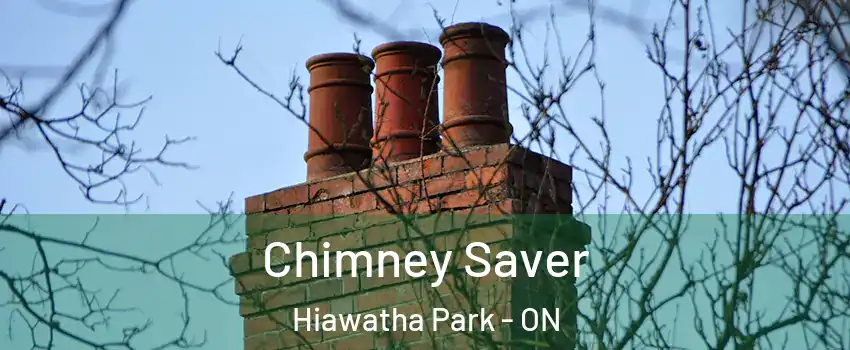 Chimney Saver Hiawatha Park - ON