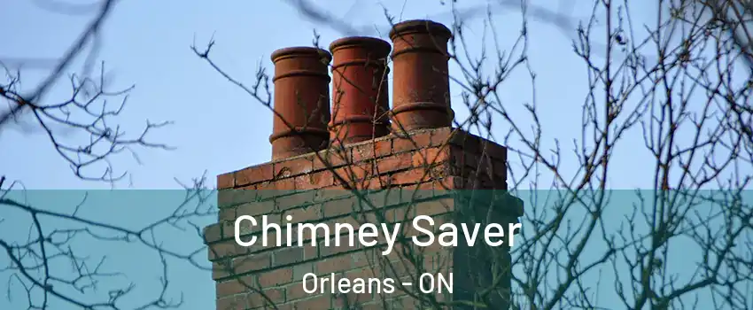  Chimney Saver Orleans - ON
