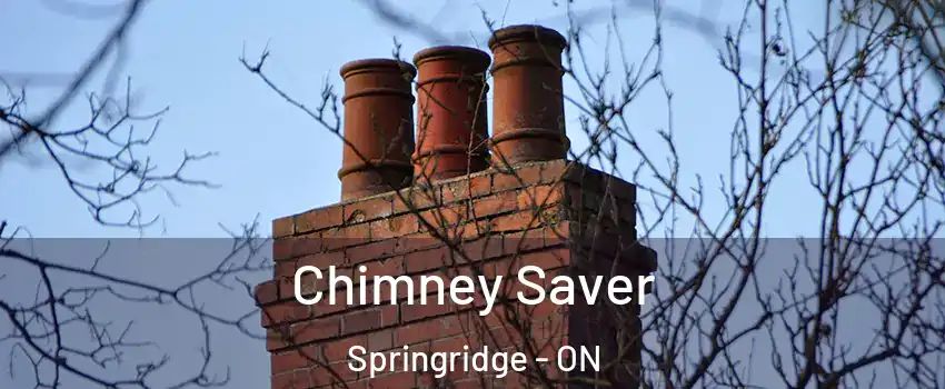 Chimney Saver Springridge - ON