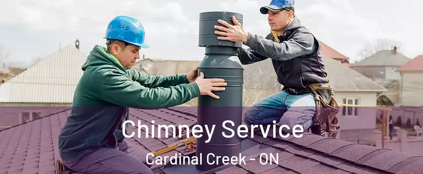  Chimney Service Cardinal Creek - ON