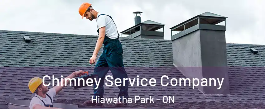Chimney Service Company Hiawatha Park - ON