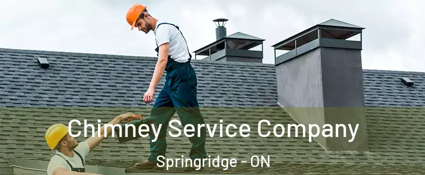  Chimney Service Company Springridge - ON