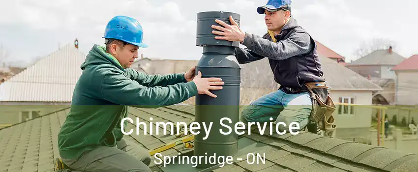  Chimney Service Springridge - ON