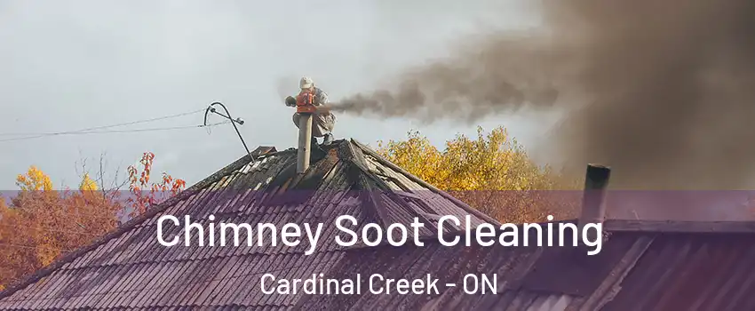 Chimney Soot Cleaning Cardinal Creek - ON