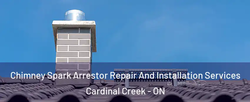  Chimney Spark Arrestor Repair And Installation Services Cardinal Creek - ON