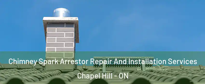 Chimney Spark Arrestor Repair And Installation Services Chapel Hill - ON
