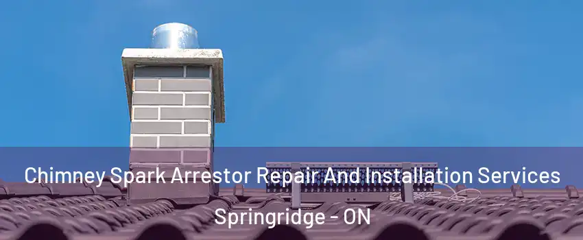  Chimney Spark Arrestor Repair And Installation Services Springridge - ON