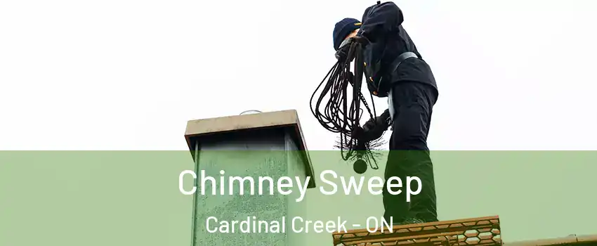  Chimney Sweep Cardinal Creek - ON