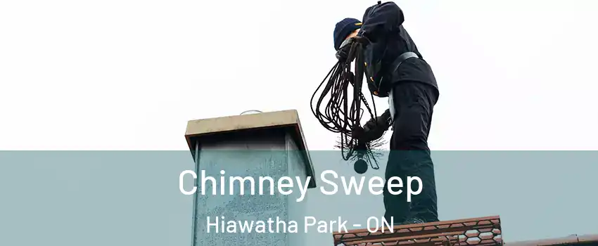 Chimney Sweep Hiawatha Park - ON
