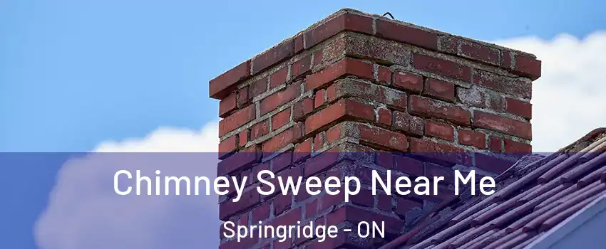 Chimney Sweep Near Me Springridge - ON