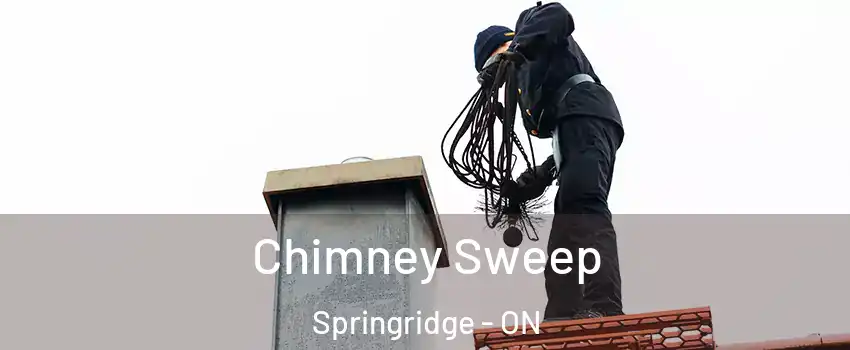Chimney Sweep Springridge - ON