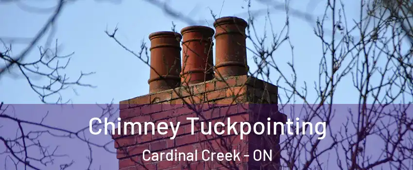  Chimney Tuckpointing Cardinal Creek - ON