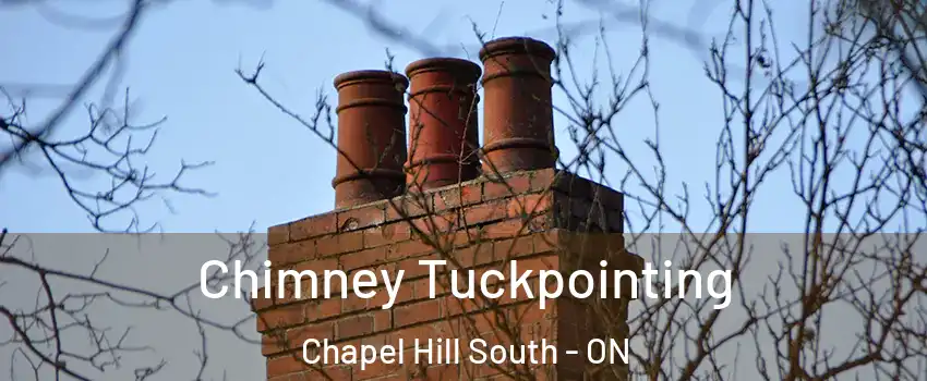  Chimney Tuckpointing Chapel Hill South - ON