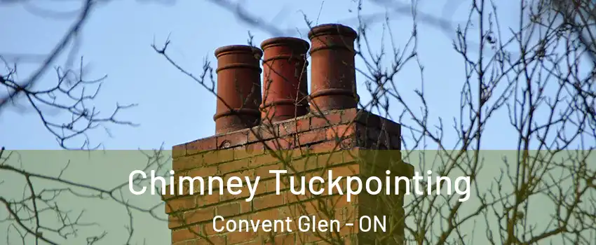  Chimney Tuckpointing Convent Glen - ON