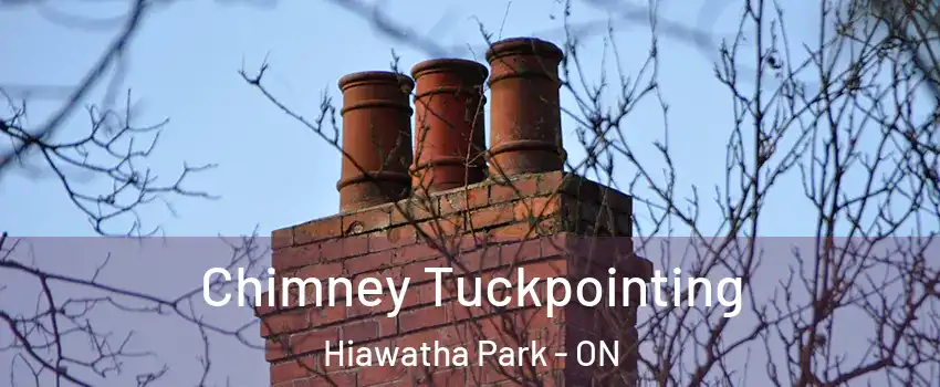 Chimney Tuckpointing Hiawatha Park - ON